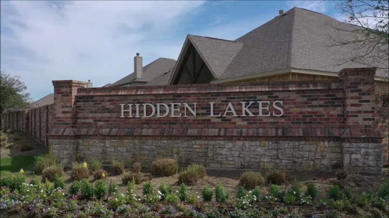 Video Image